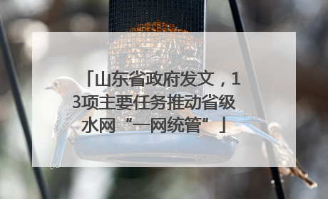山东省政府发文，13项主要任务推动省级水网“一网统管”