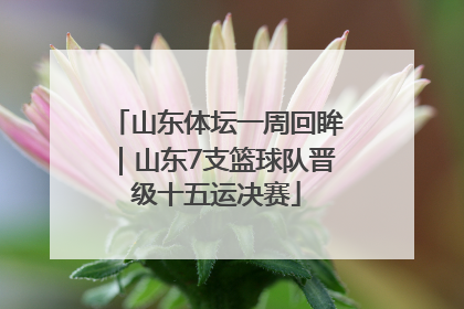山东体坛一周回眸｜山东7支篮球队晋级十五运决赛
