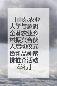 山东农业大学与蒙阴金葵农业乡村振兴合伙人启动仪式暨新品种蜜桃推介活动举行