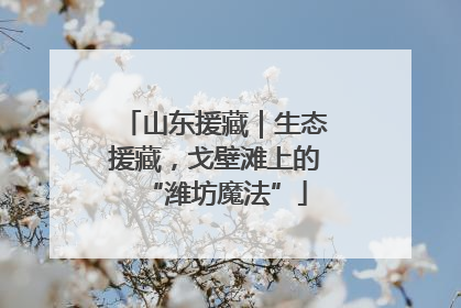 山东援藏｜生态援藏，戈壁滩上的“潍坊魔法”