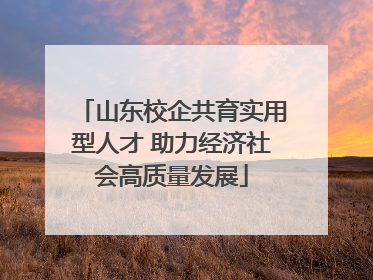 山东校企共育实用型人才 助力经济社会高质量发展