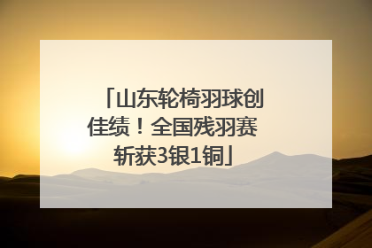 山东轮椅羽球创佳绩！全国残羽赛斩获3银1铜