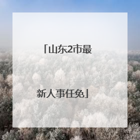 山东2市最新人事任免