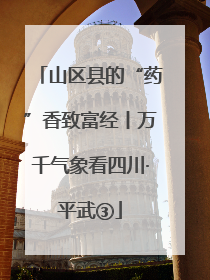 山区县的“药”香致富经丨万千气象看四川·平武③