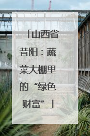 山西省昔阳：蔬菜大棚里的“绿色财富”