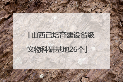 山西已培育建设省级文物科研基地26个