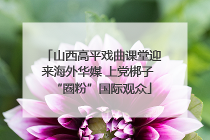 山西高平戏曲课堂迎来海外华媒 上党梆子“圈粉”国际观众