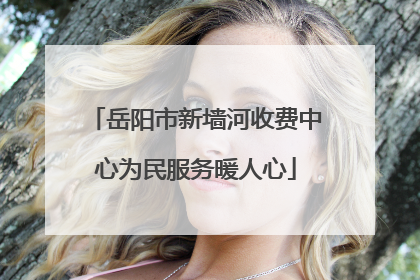 岳阳市新墙河收费中心为民服务暖人心