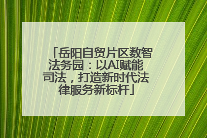 岳阳自贸片区数智法务园：以AI赋能司法，打造新时代法律服务新标杆