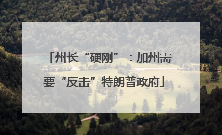 州长“硬刚”：加州需要“反击”特朗普政府