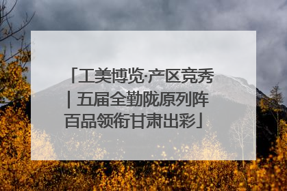 工美博览·产区竞秀｜五届全勤陇原列阵 百品领衔甘肃出彩