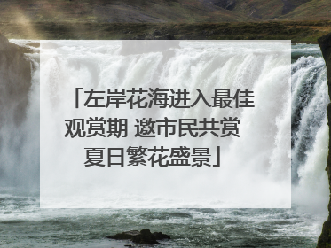 左岸花海进入最佳观赏期 邀市民共赏夏日繁花盛景