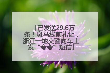 已发送29.6万条！斑马线前礼让，浙江一地交警向车主发“夸夸”短信