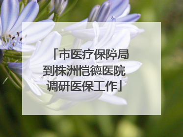 市医疗保障局到株洲恺德医院调研医保工作