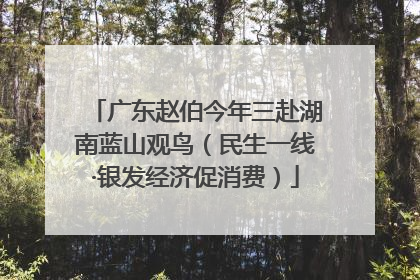 广东赵伯今年三赴湖南蓝山观鸟（民生一线·银发经济促消费）