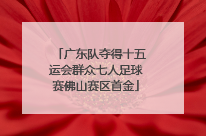 广东队夺得十五运会群众七人足球赛佛山赛区首金
