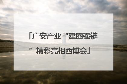 广安产业“建圈强链”精彩亮相西博会