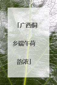 广西侗乡端午荷韵浓