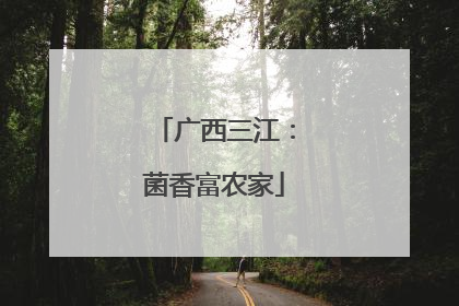 广西三江：菌香富农家