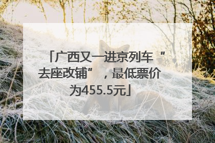 广西又一进京列车“去座改铺”，最低票价为455.5元