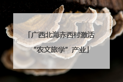 广西北海赤西村激活“农文旅学”产业
