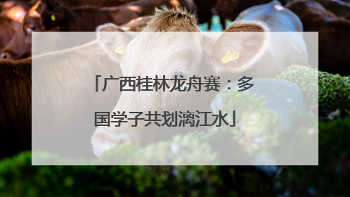 广西桂林龙舟赛：多国学子共划漓江水