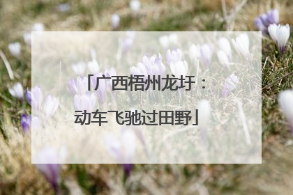 广西梧州龙圩：动车飞驰过田野