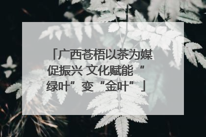 广西苍梧以茶为媒促振兴 文化赋能“绿叶”变“金叶”