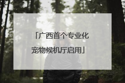 广西首个专业化宠物候机厅启用