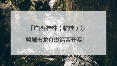 广西·桂林（临桂）东盟城市龙舟邀请赛开赛