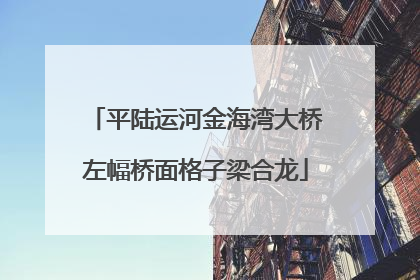 平陆运河金海湾大桥左幅桥面格子梁合龙