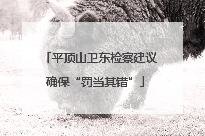 平顶山卫东检察建议确保“罚当其错”