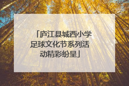 庐江县城西小学足球文化节系列活动精彩纷呈