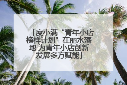度小满“青年小店榜样计划”在丽水落地 为青年小店创新发展多方赋能