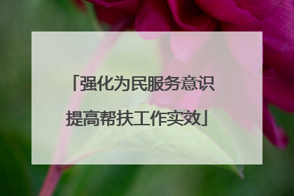 强化为民服务意识 提高帮扶工作实效