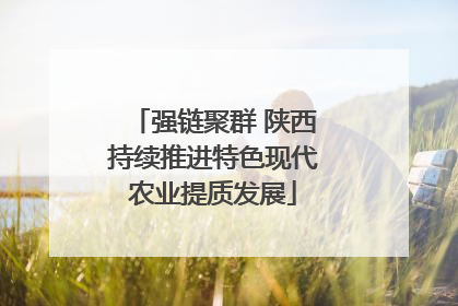 强链聚群 陕西持续推进特色现代农业提质发展