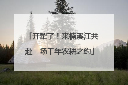 开犁了！来楠溪江共赴一场千年农耕之约