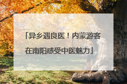 异乡遇良医！内蒙游客在南阳感受中医魅力
