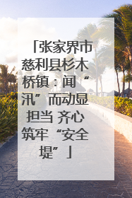 张家界市慈利县杉木桥镇：闻“汛”而动显担当 齐心筑牢“安全堤”
