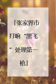 张家界市打响“黑飞”处理第一枪