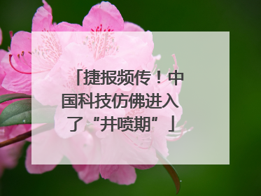 捷报频传！中国科技仿佛进入了“井喷期”