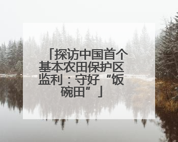 探访中国首个基本农田保护区监利：守好“饭碗田”