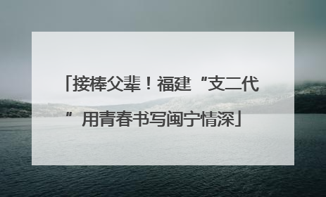 接棒父辈！福建“支二代”用青春书写闽宁情深