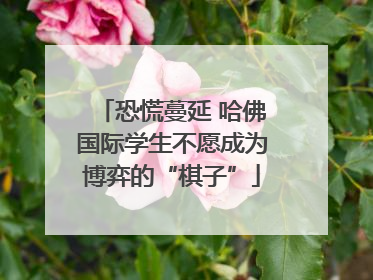 恐慌蔓延 哈佛国际学生不愿成为博弈的“棋子”