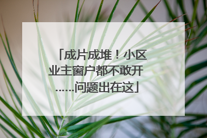 成片成堆！小区业主窗户都不敢开……问题出在这