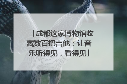 成都这家博物馆收藏数百把吉他：让音乐听得见，看得见