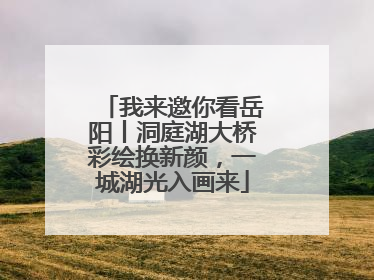 我来邀你看岳阳丨洞庭湖大桥彩绘换新颜，一城湖光入画来