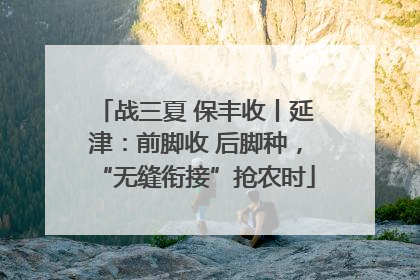 战三夏 保丰收丨延津：前脚收 后脚种，“无缝衔接”抢农时