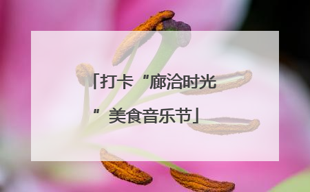 打卡“廊洽时光”美食音乐节