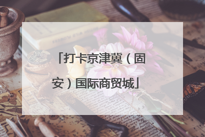 打卡京津冀（固安）国际商贸城